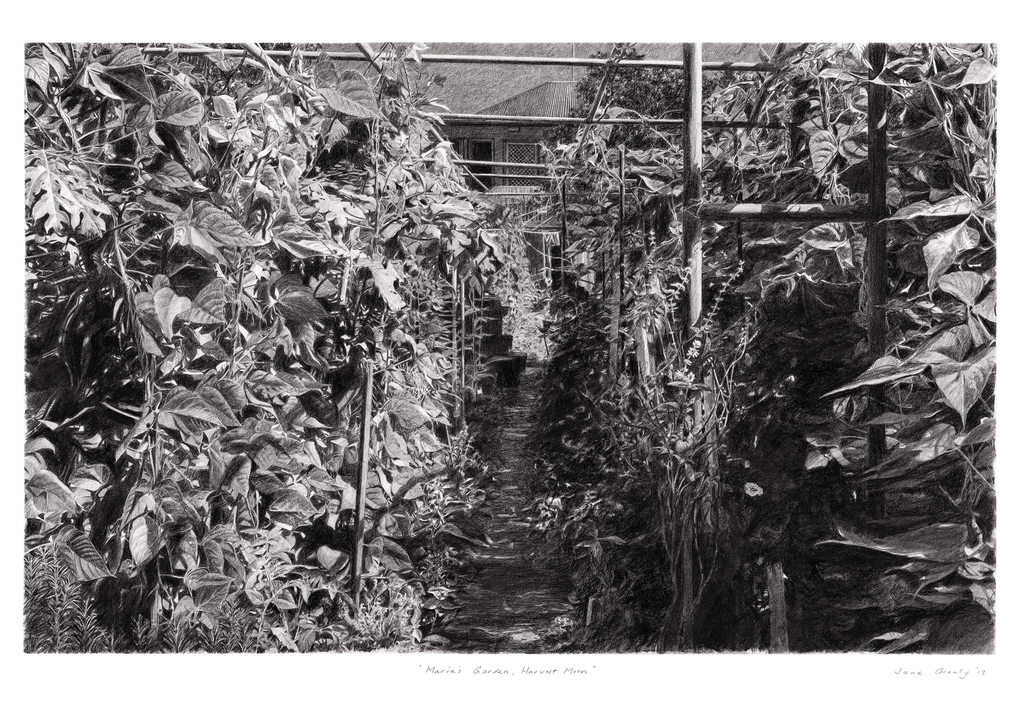 maria's garden, harvest moon - a4