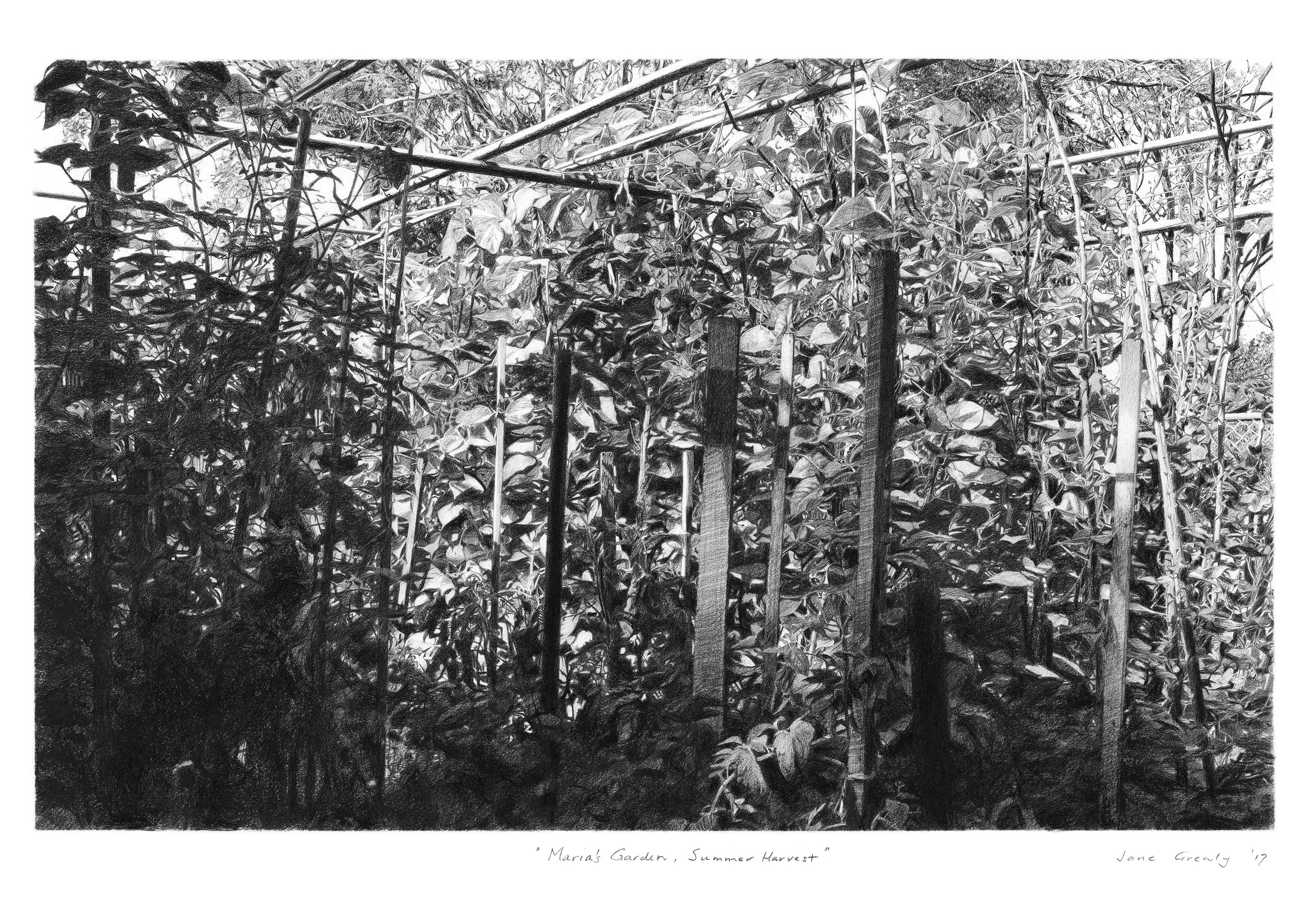 maria's garden - summer harvest - a4