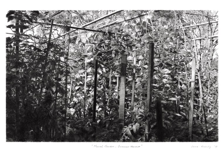 maria's garden - summer harvest - a4