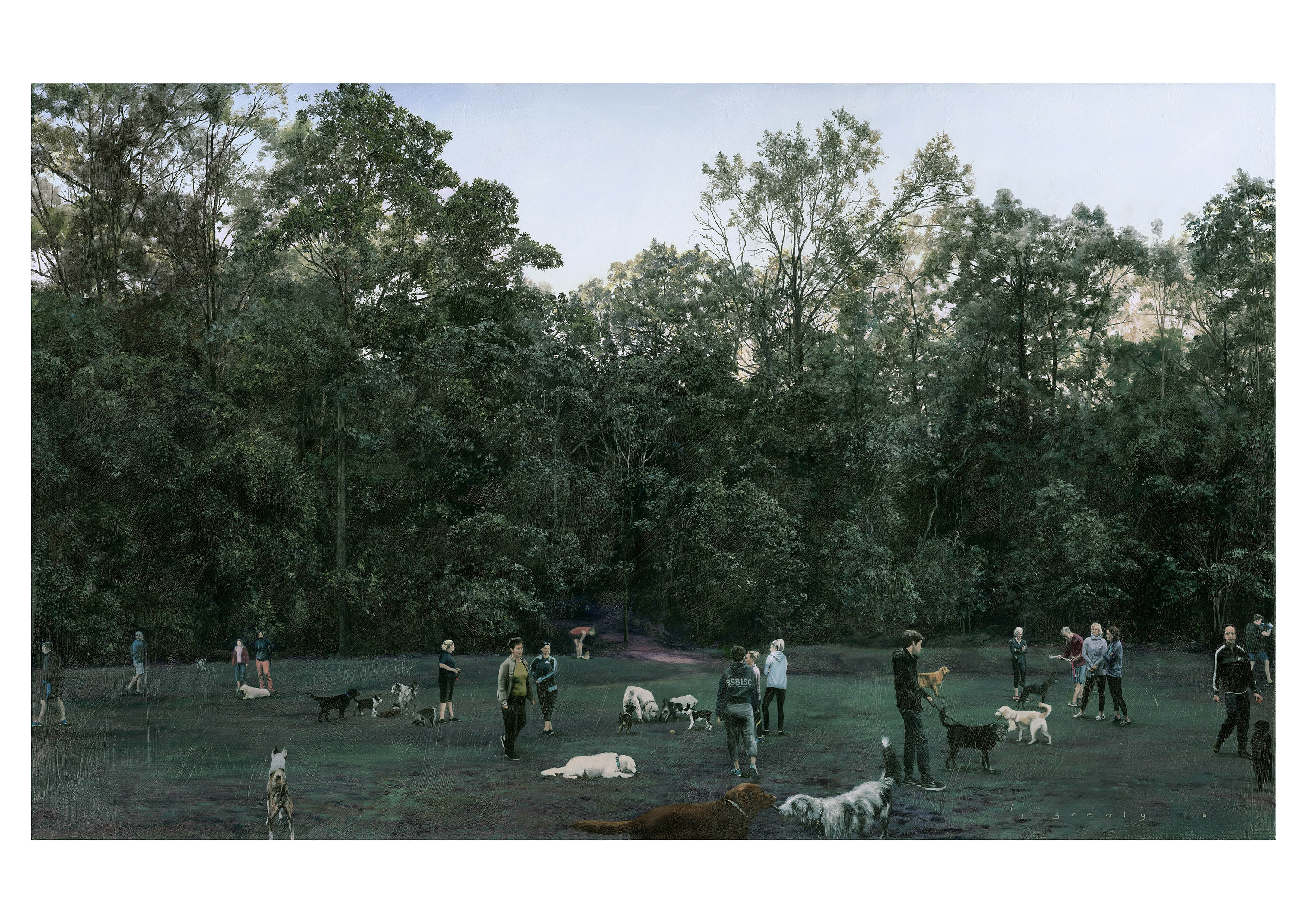 winter's morning - teneriffe dog park - a4