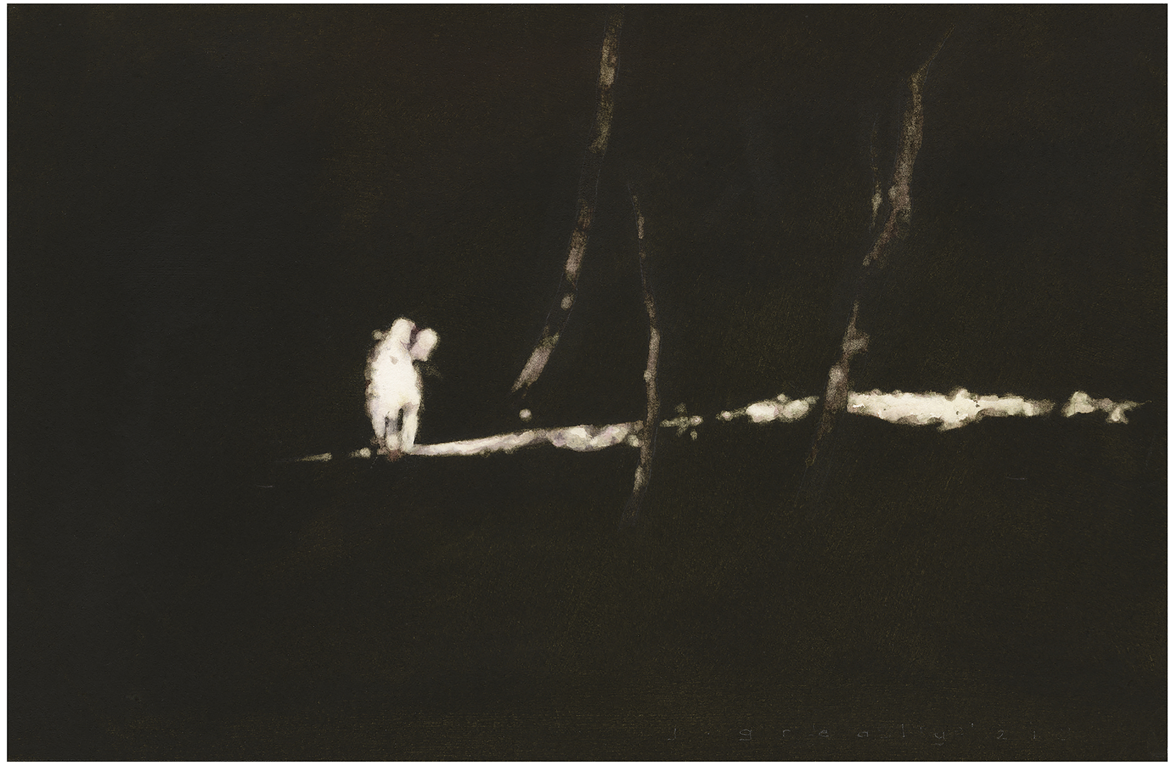 2400 Black Night, White Dog