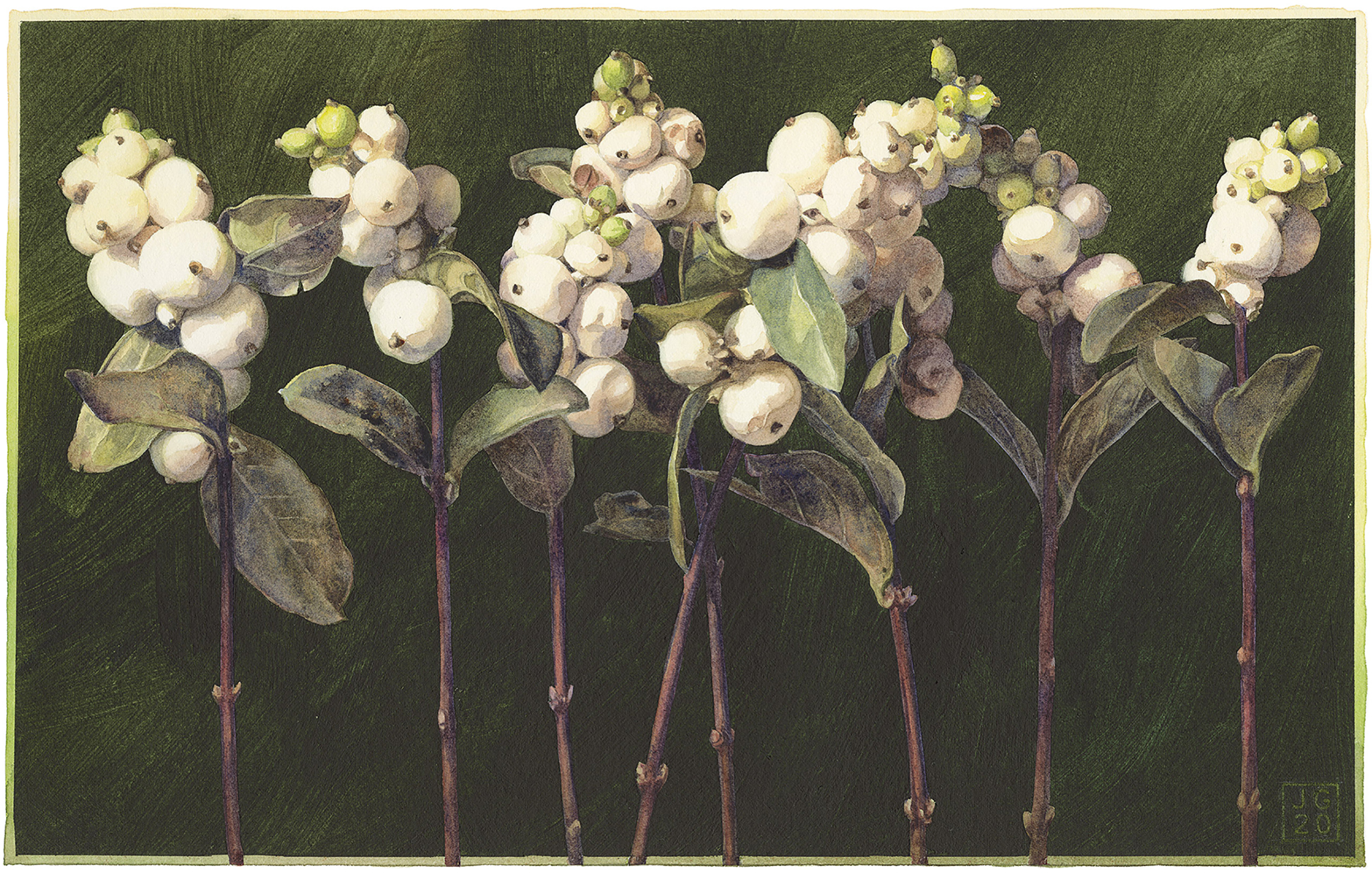 2400 Flowers 2 - Snowballs